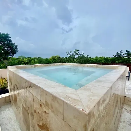 Luxury Private Penthouse With Private Pool Apartment