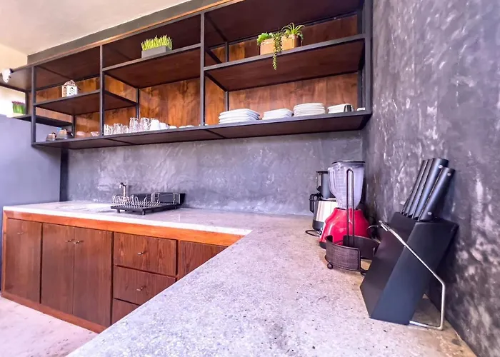 Luxury Private Penthouse With Private Pool Apartment